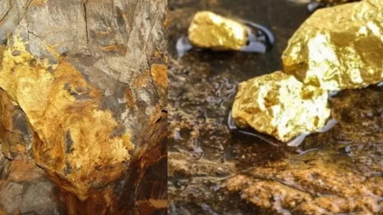 Gold
