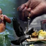 Pitru Paksha